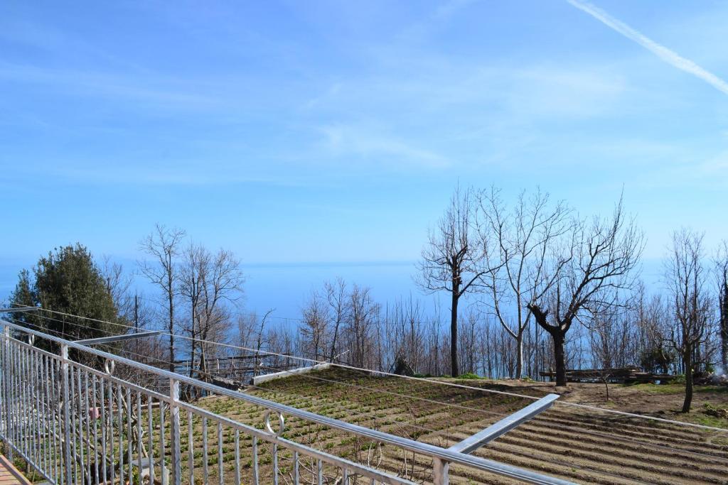 Luna D'Agerola Room photo